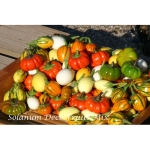 Decofruit Mix Solanum